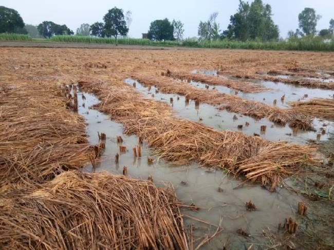 किसानों के लिए बड़ी खबर! PMFBY पेमेंट में देरी करने पर बीमा कंपनियों की होगी खैर नहीं – सरकार ने उठाया सख्त कदम!