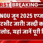 IGNOU जून 2025 एग्जाम डेटशीट जारी! जल्दी करें डाउनलोड, यहां जानें पूरी डिटेल, Ignou June Exam 2025 Date Sheet