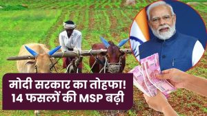 मोदी सरकार का किसानों को बड़ा तोहफा! इन 14 फसलों की MSP में बढ़ोतरी – तुरंत देखें नई लिस्ट