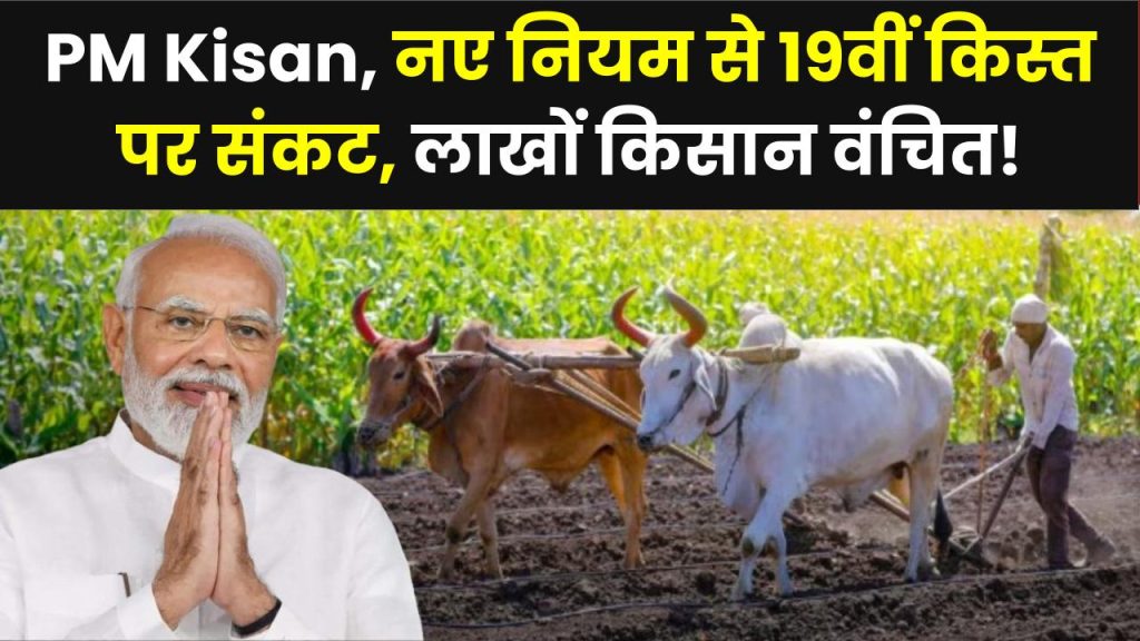 लाखों किसानों को नहीं मिलेगा PM Kisan Yojana का पैसा! सरकार के नए नियम के बाद 19वीं किस्त पर संकट