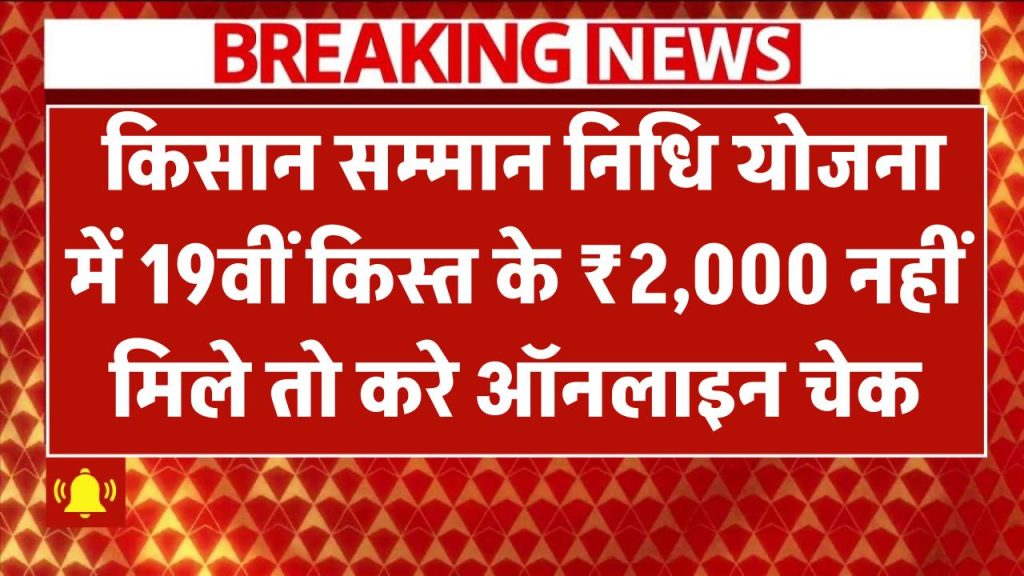 PM Kisan Samman Nidhi Yojana: 19वीं किस्त के ₹2,000 मिले या नहीं मिले? तुरंत करें ये ऑनलाइन चेक