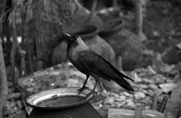 प्यासे कौवे की कहानी (Story of Thirsty Crow):