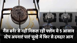 गैस बर्नर से नहीं निकल रही फ्लेम? ये 5 आसान स्टेप अपनाएं और पाएं चूल्हे में फिर से दमदार आग