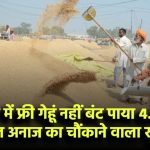 राजस्थान में फ्री गेहूं नहीं बंट पाया! 4.69 लाख क्विंटल अनाज LAPSE – खुलासा चौंकाने वाला