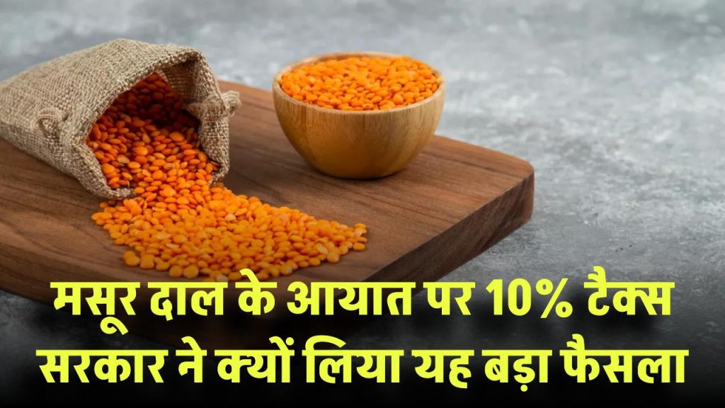 मसूर दाल के आयात पर 10% टैक्स! सरकार ने क्यों लिया यह बड़ा फैसला? जानिए वजह