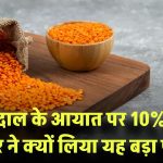 मसूर दाल के आयात पर 10% टैक्स! सरकार ने क्यों लिया यह बड़ा फैसला? जानिए वजह