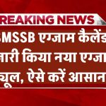 RSMSSB Exam Calendar 2024-25: RSMSSB ने जारी किया नया एग्जाम शेड्यूल, ऐसे करें आसान चेक