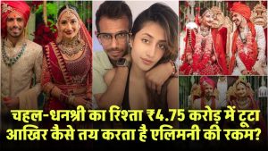 ₹4.75 करोड़ में टूटा चहल-धनश्री का रिश्ता! कोर्ट आखिर कैसे तय करता है एलिमनी की रकम?