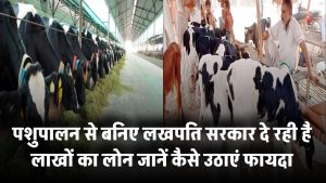 पशुपालन से बनिए लखपति – सरकार दे रही है लाखों का लोन सब्सिडी पर, जानें कैसे उठाएं फायदा