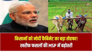 किसानों को मोदी कैबिनेट का बड़ा तोहफा! खरीफ फसलों की MSP में बढ़ोतरी, धान पर ₹69 का इजाफा