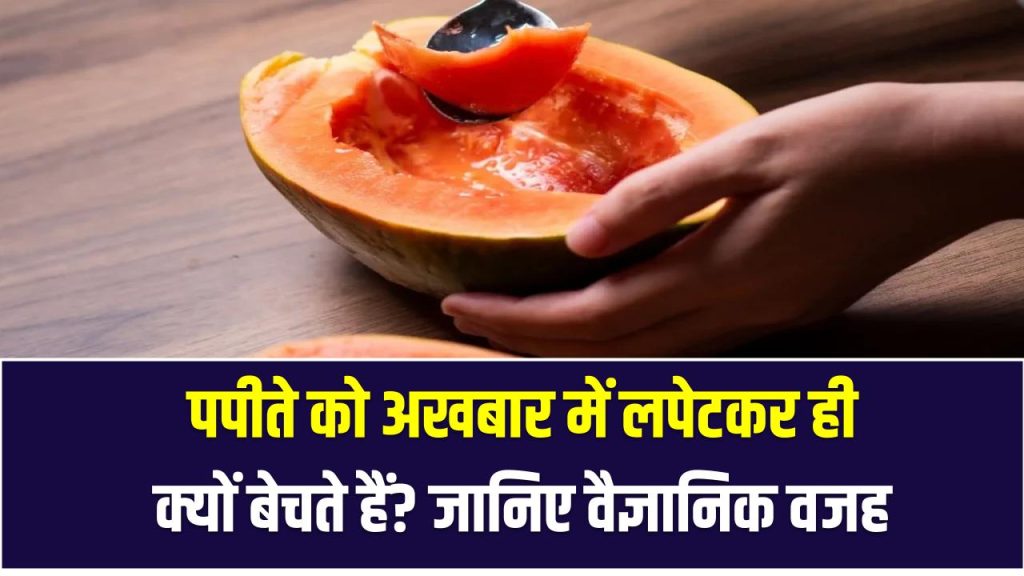 पपीते को अखबार में लपेटकर ही क्यों बेचते हैं? जानिए इसके पीछे की वैज्ञानिक वजह
