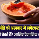 पपीते को अखबार में लपेटकर ही क्यों बेचते हैं? जानिए इसके पीछे की वैज्ञानिक वजह