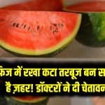 फ्रिज में रखा कटा तरबूज बन सकता है ज़हर! डॉक्टरों ने दी चेतावनी, ये गलती कर सकती है बीमार