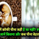 गर्मी में कॉफी पीना सही या गलत? एक्सपर्ट से जानिए कब और कितना पीना है बेहतर