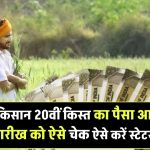 PM-KISAN 20वीं किस्त का इंतजार खत्म! इस तारीख को आएगा पैसा, स्टेटस ऐसे करें चेक