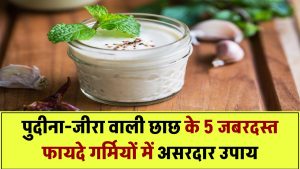 पुदीना और भुना जीरा डालकर छाछ पीने से होते हैं ये 5 जबरदस्त फायदे – गर्मियों के लिए रामबाण उपाय